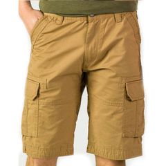 GSA Glory Cargo Shorts 3718021 Mink