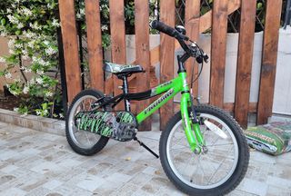 Παιδικά Probike 2019 T-Rex