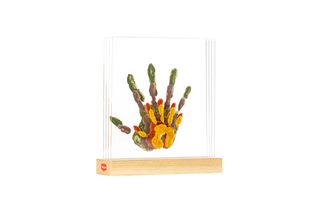 Tiny Love - FAMILY PRINTS (3333166041) / Toys