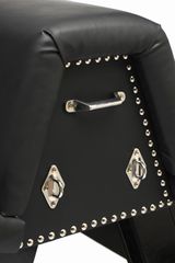 Bareback - Submission Horse - Black-thumb-5
