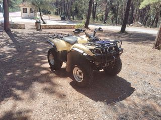 Yamaha Grizzly 660 2006
