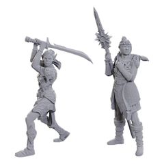 D Nolzur's Marvelous Miniatures Unpainted Miniature Lae'zel & Shadowheart