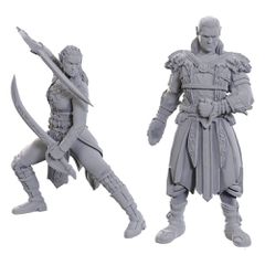 D Nolzur's Marvelous Miniatures Unpainted Miniature Jaheira & Halsin