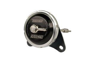 IWG75 Camaro 2.0LT 14psi
