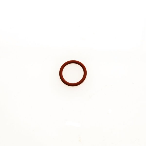 WG Valve Guide O Ring