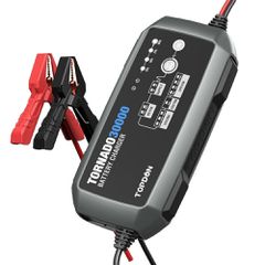 ΛΥΡΗΣ TOPDON ΦΟΡΤΙΣΤΗΣ & ΣΥΝΤΗΡΗΤΗΣ ΜΠΑΤΑΡΙΑΣ 6V&12V&24V 30A T30A