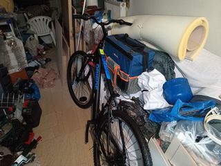Mountain Orient 2025 Steed evo