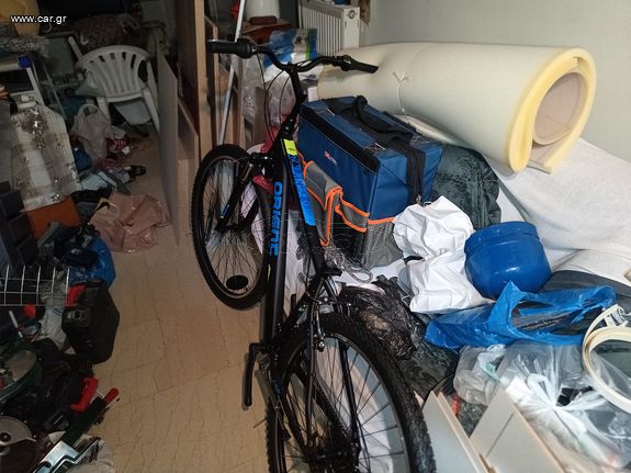 Mountain Orient 2025 Steed evo