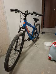 All - Mountain Alpina 2023 Mountain bike