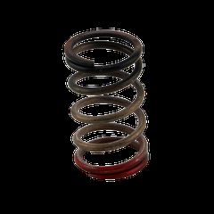 GenV WG HP 40psi Spring (Black/Red)