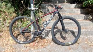 Mountain Specialized 2019 EPIC