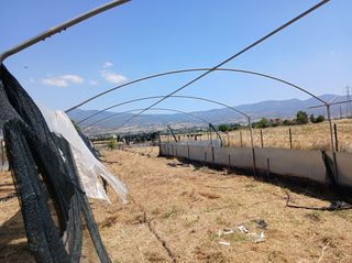 Σίδερα δυκτιοκηπίου