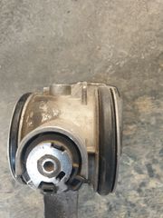 Πεταλούδες Γκαζιού