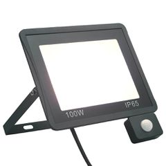 Προβολέας LED με Αισθητήρα Ψυχρό Λευκό 100 W 149632
