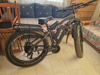Fat Bikes 2024 E-bike