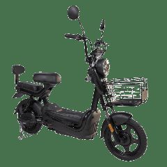 Emw 2026