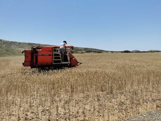 Θεριζοαλωνιστικές Kubota 2010