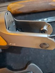 blaser f16 game-thumb-4