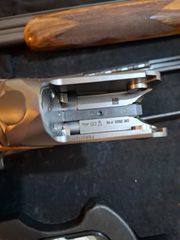 blaser f16 game-thumb-5