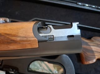blaser f16 game-thumb-10
