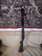 Καραμπινα επαναληπτικη