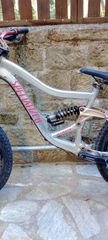 Downhill Specialized 2020