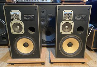 Ηχεία AKAI SW-137S