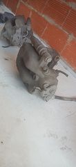 Δαγκανα πίσω αριστερη PEUGEOT 307 2001-2005 1,6cc