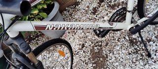 Fat Bikes Nakamura 2024