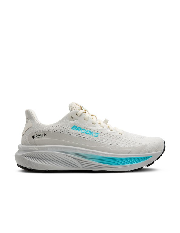 Brooks Ghost 17 GTX 1204511B138