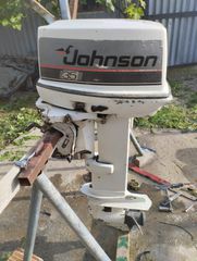 Johnson 1987
