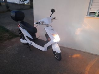 Volta VSX 2019
