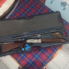 Beretta AL 391 Light