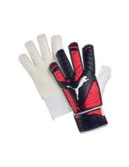 Puma Evopower Grip 4 Gloves 04098316