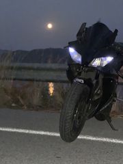 Yamaha YZF 125 R 2008