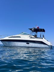 Regal 1991 Valanti 260