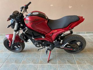Daytona Hobby 125 2019