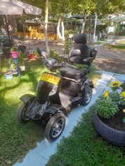Diletta Smart 1000 2022