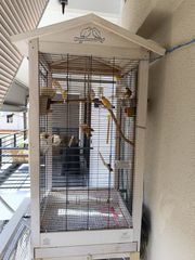 Κλούβα πτήσης /καναρίνια /Ζευγαρωστρες/διάφορα αξεσουάρ