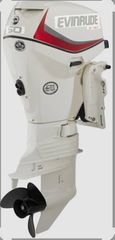 Evinrude 2020 e- tec