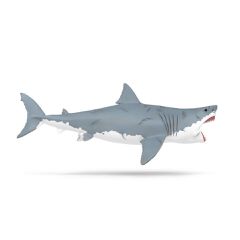 Schleich - Megalodon (15055)-thumb-4