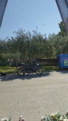 Sym VF 125 2021-thumb-2