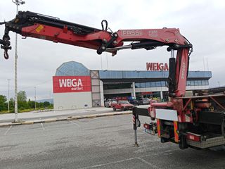 Γερανοί Fassi 2012 F235-thumb-5