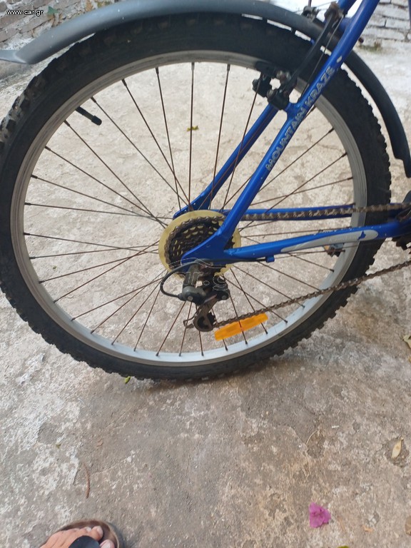 All - Mountain Carrera 2019