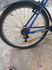 All - Mountain Carrera 2019