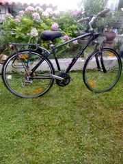 Πόλης Bianchi 2018