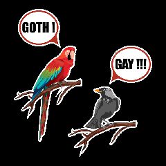 Goth Gay Parrot koraki
