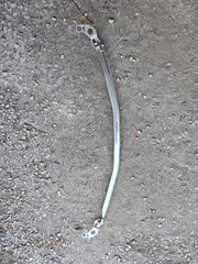 ΜΠΑΡΑ ΘΟΛΩΝ ΕΜΠΡΟΣ ΑΛΟΥΜΙΝΙΟΥ ΓΙΑ BMW E87 / E81 / E82 ΒΕΝΖΙΝΗ