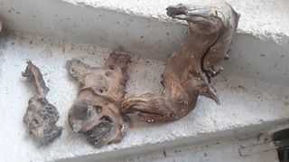 ενυδρείο 120*40*50-thumb-19
