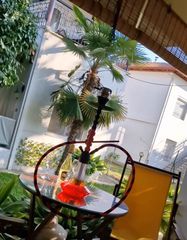 Hookah ναργιλές